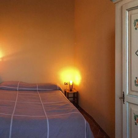 Agriturismo Terre Di Musignano Canino Eksteriør billede