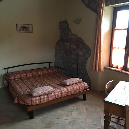 Agriturismo Terre Di Musignano Canino Eksteriør billede