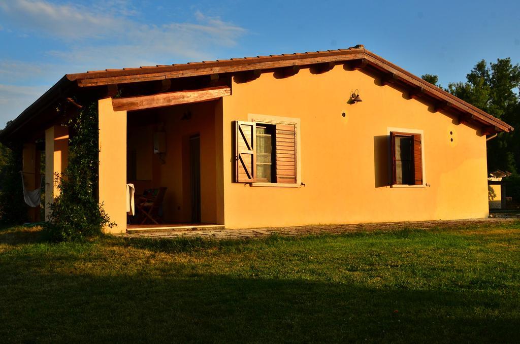 Agriturismo Terre Di Musignano Canino Værelse billede