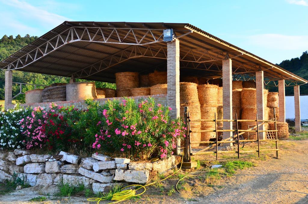 Agriturismo Terre Di Musignano Canino Værelse billede