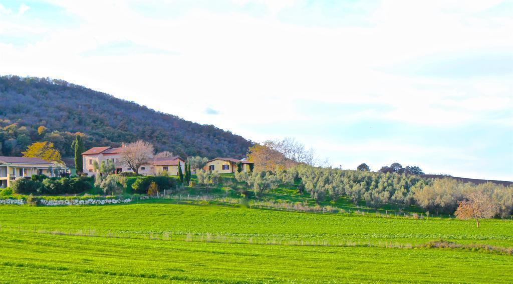 Agriturismo Terre Di Musignano Canino Eksteriør billede