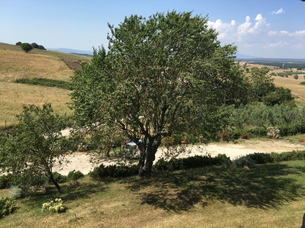 Agriturismo Terre Di Musignano Canino Eksteriør billede
